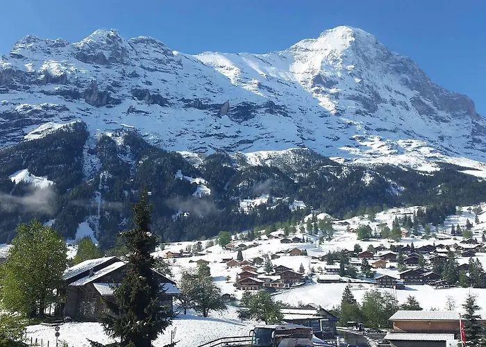 Stotzhalten 2.5 - Griwarent Ag Grindelwald
